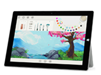 月湖Surface 无法开启、Windows 无法启动或电池无法充电